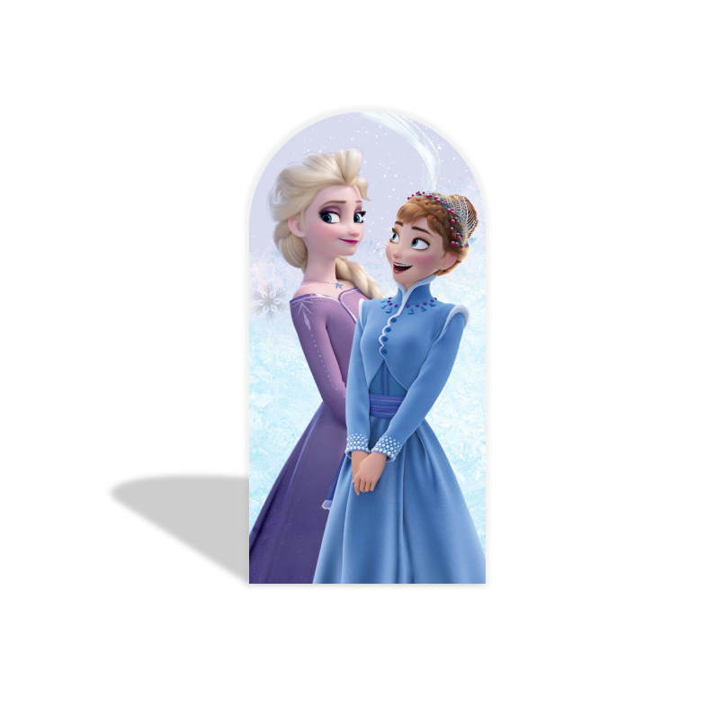 Frozen arch  Birthday Party Arch Backdrop Wall Cloth Cover