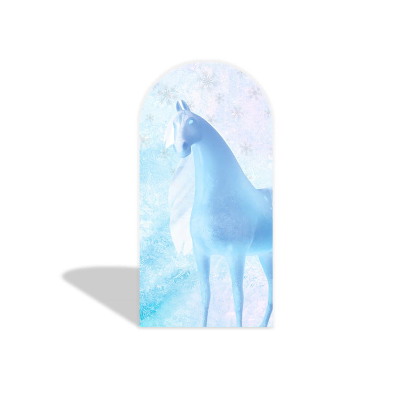 Frozen arch  Birthday Party Arch Backdrop Wall Cloth Cover