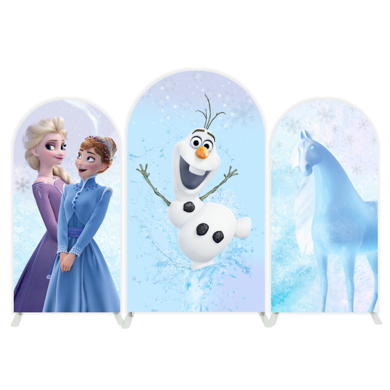 Frozen arch  Birthday Party Arch Backdrop Wall Cloth Cover