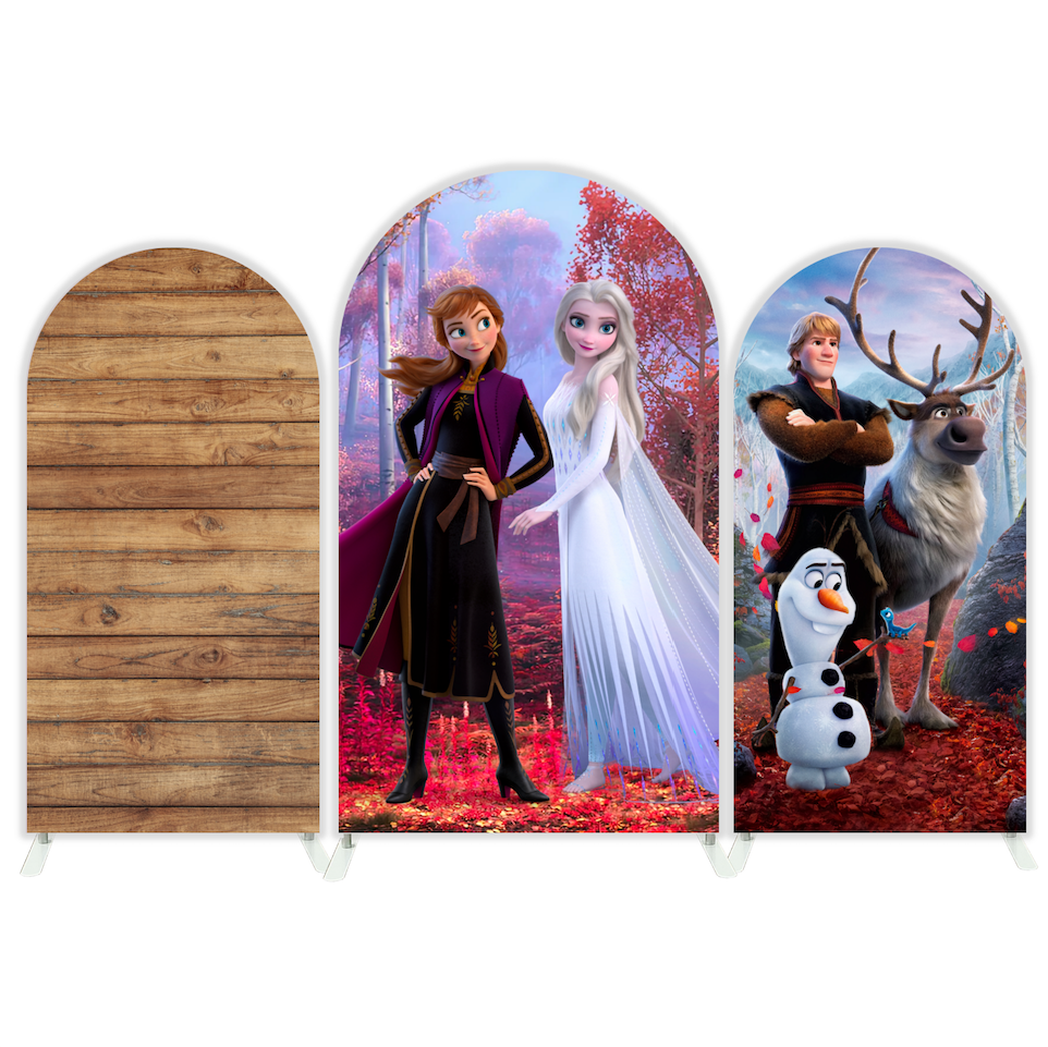 Frozen Anna Elsa Princess Birthday Party Arch Backdrop Wall Cloth Cover